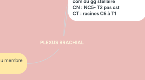 Mind Map: PLEXUS BRACHIAL