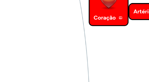 Mind Map: Coração