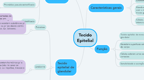 Mind Map: Tecido Epitelial