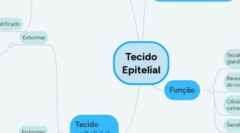 Mind Map: Tecido Epitelial