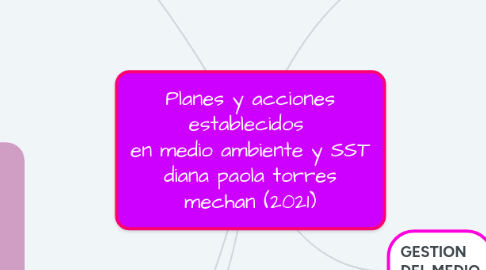Mind Map: Planes y acciones establecidos en medio ambiente y SST diana paola torres mechan (2021)