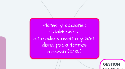 Mind Map: Planes y acciones establecidos  en medio ambiente y SST diana paola torres mechan (2021)