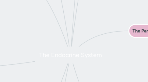 Mind Map: The Endocrine System