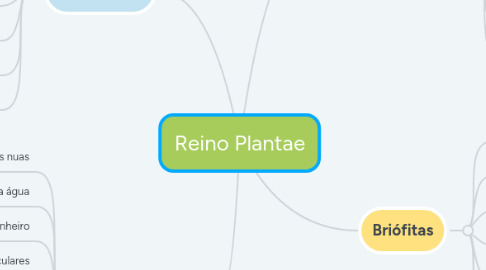 Mind Map: Reino Plantae
