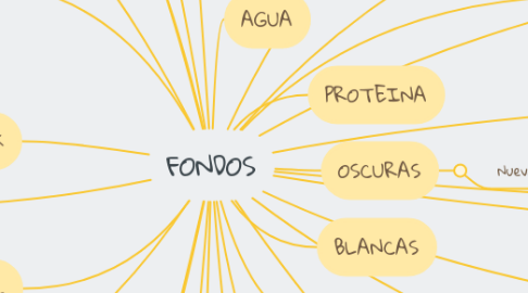 Mind Map: FONDOS