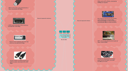 Mind Map: Bus de datos