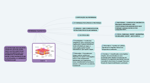 Mind Map: MEMBRANA PLASMÁTICA