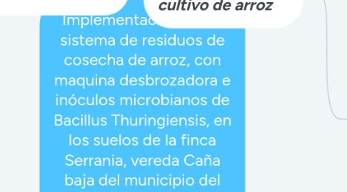 Mind Map: Implementación de un sistema de residuos de cosecha de arroz, con maquina desbrozadora e inóculos microbianos de Bacillus Thuringiensis, en los suelos de la finca Serrania, vereda Caña baja del municipio del Guamo - Tolima.