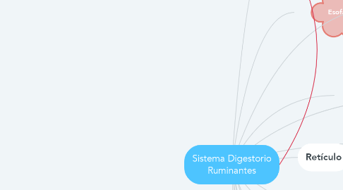 Mind Map: Sistema Digestorio Ruminantes