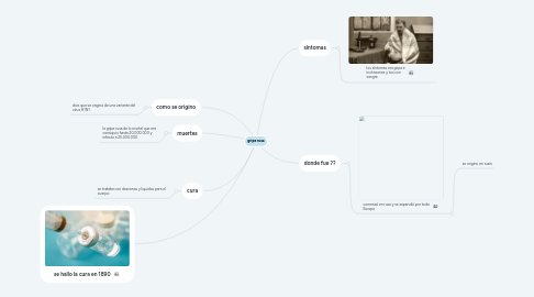 Mind Map: gripe rusa