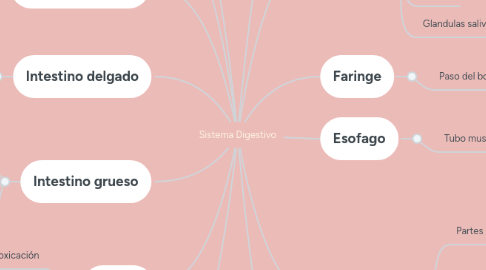 Mind Map: Sistema Digestivo