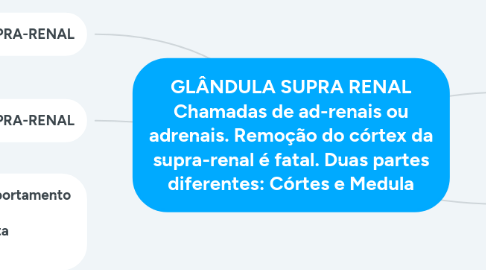 Mind Map: GLÂNDULA SUPRA RENAL Chamadas de ad-renais ou adrenais. Remoção do córtex da supra-renal é fatal. Duas partes diferentes: Córtes e Medula