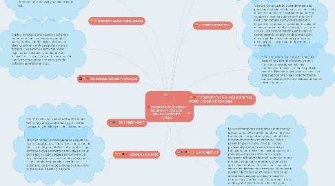 Mind Map: MI PROYECTO DE VIDA El MOMENTO ACTUAL DE MI VIDA Y A TIEMPO FUTURO