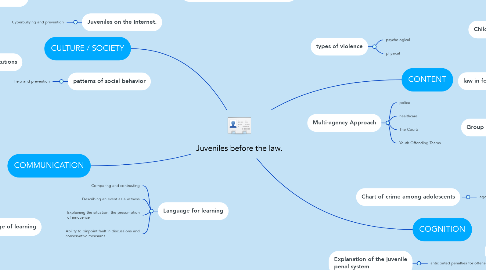 Mind Map: Juveniles before the law.