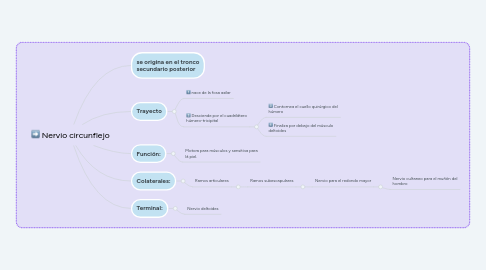 Mind Map: Nervio circunflejo