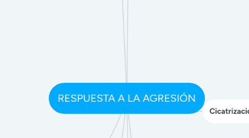 Mind Map: RESPUESTA A LA AGRESIÓN