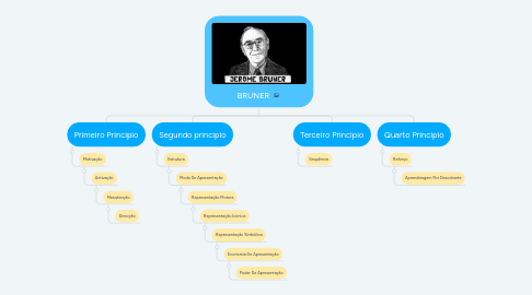 Mind Map: BRUNER