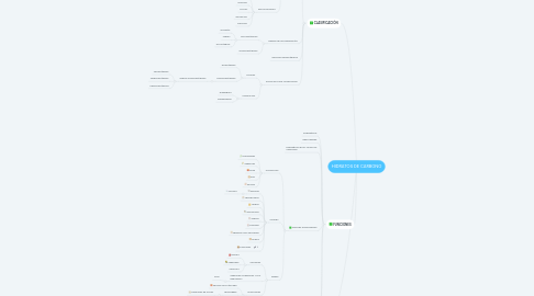 Mind Map: HIDRATOS DE CARBONO