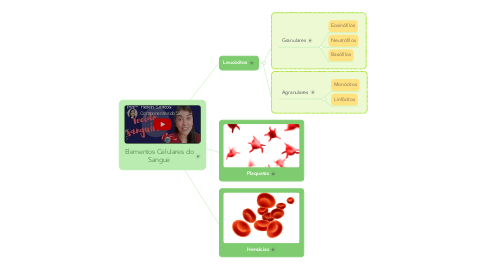 Mind Map: Elementos Celulares do Sangue