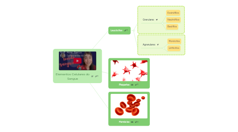 Mind Map: Elementos Celulares do Sangue