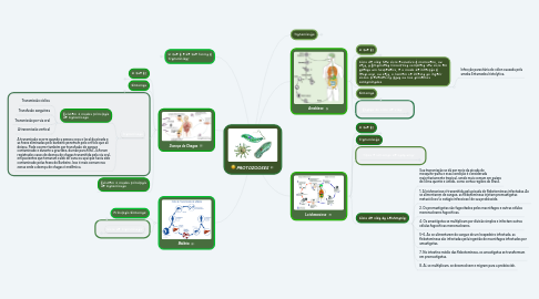 Mind Map: PROTOZOOSES