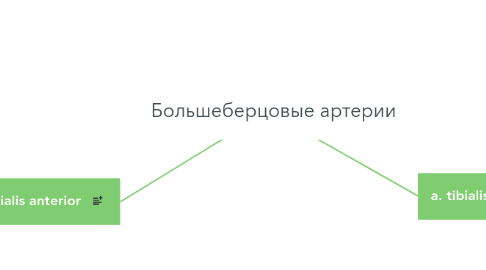 Mind Map: Большеберцовые артерии