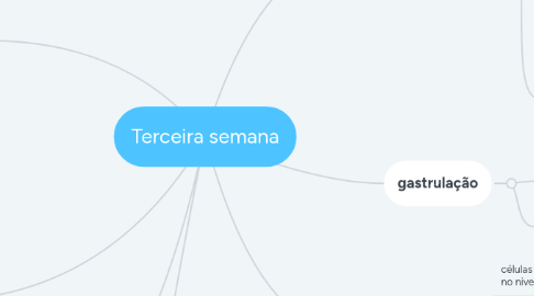 Mind Map: Terceira semana