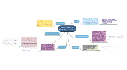 Mind Map: PROBLEMATICAS AMBIENTALES EN C.V.