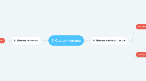 Mind Map: El Cuerpo Humano