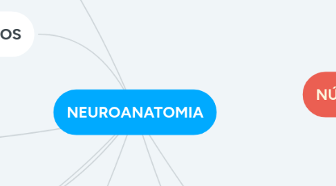 Mind Map: NEUROANATOMIA
