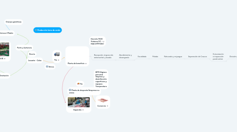 Mind Map: Producción lomo de cerdo