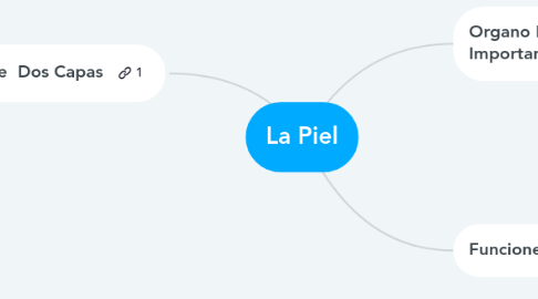 Mind Map: La Piel
