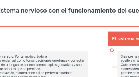 Mind Map: Coordinación del sistema nervioso con el funcionamiento del cuerpo