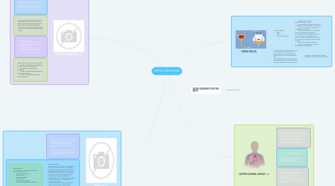 Mind Map: MAPA CONCEPTUAL