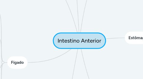 Mind Map: Intestino Anterior