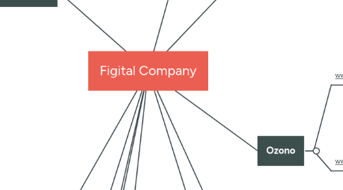 Mind Map: Figital Company