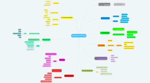 Mind Map: Observación y entrevista