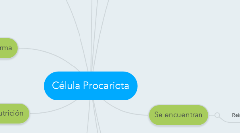 Mind Map: Célula Procariota