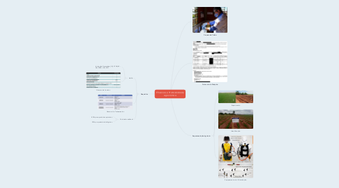 Mind Map: Eficiência e Praticabilidade Agronômica