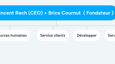 Mind Map: Vincent Rech (CEO) + Brice Cournut ( Fondateur )