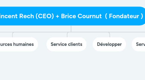 Mind Map: Vincent Rech (CEO) + Brice Cournut  ( Fondateur )