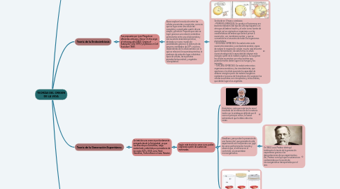 Mind Map: TEORÍAS DEL ORIGEN DE LA VIDA