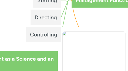 Mind Map: Management