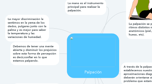 Mind Map: Palpación