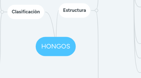 Mind Map: HONGOS