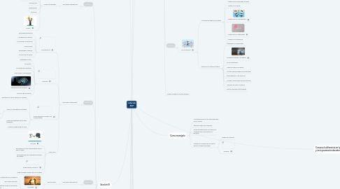 Mind Map: Líder de 360º