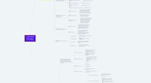 Mind Map: INDAGANDO EN EL AULA Y SU ENTORNO