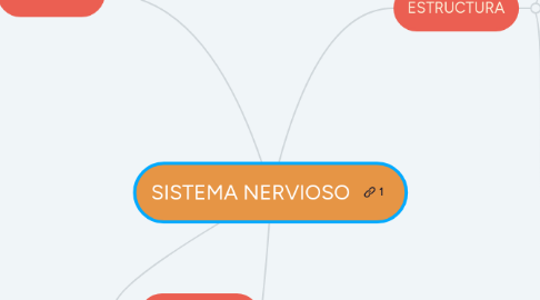 Mind Map: SISTEMA NERVIOSO