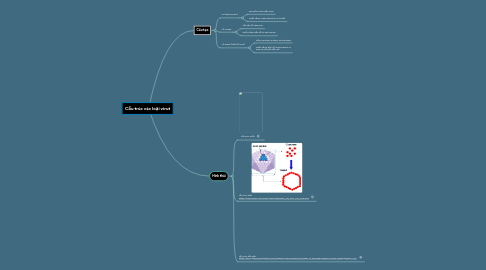 Mind Map: Cấu trúc các loại virut