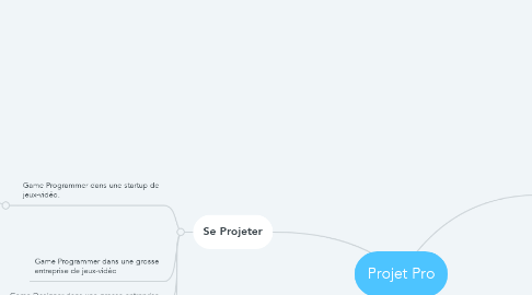 Mind Map: Projet Pro